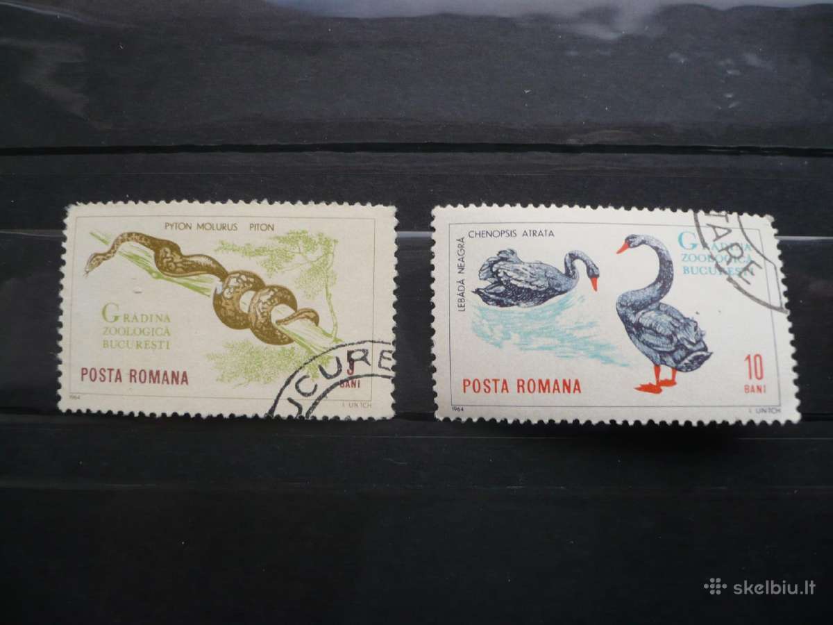 1964 Bukarešto zoologijos sodas