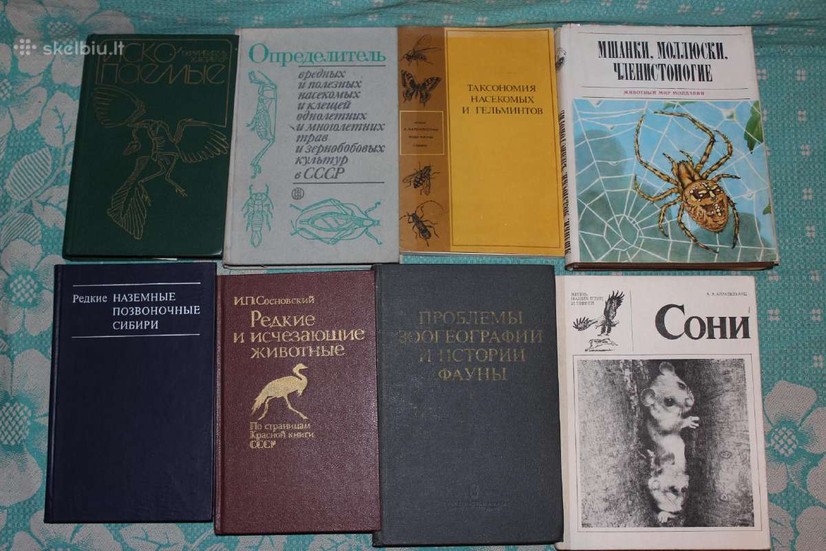 Zoologija, gyvūnai, rusų k.