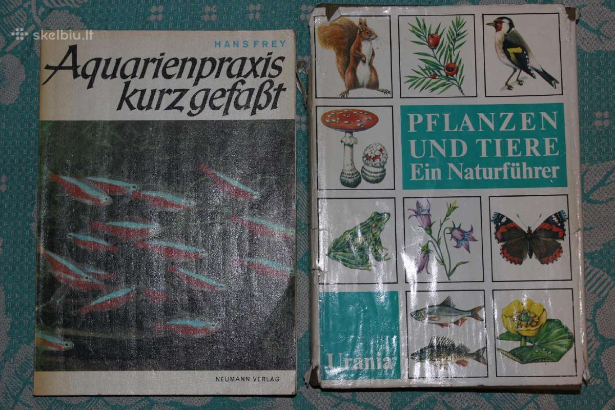 Zoologija, gyvūnai, žuvys, akvariumas. Vokiečių k