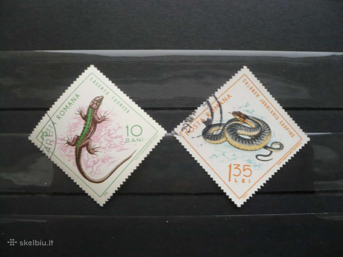 1965 metų ropliai