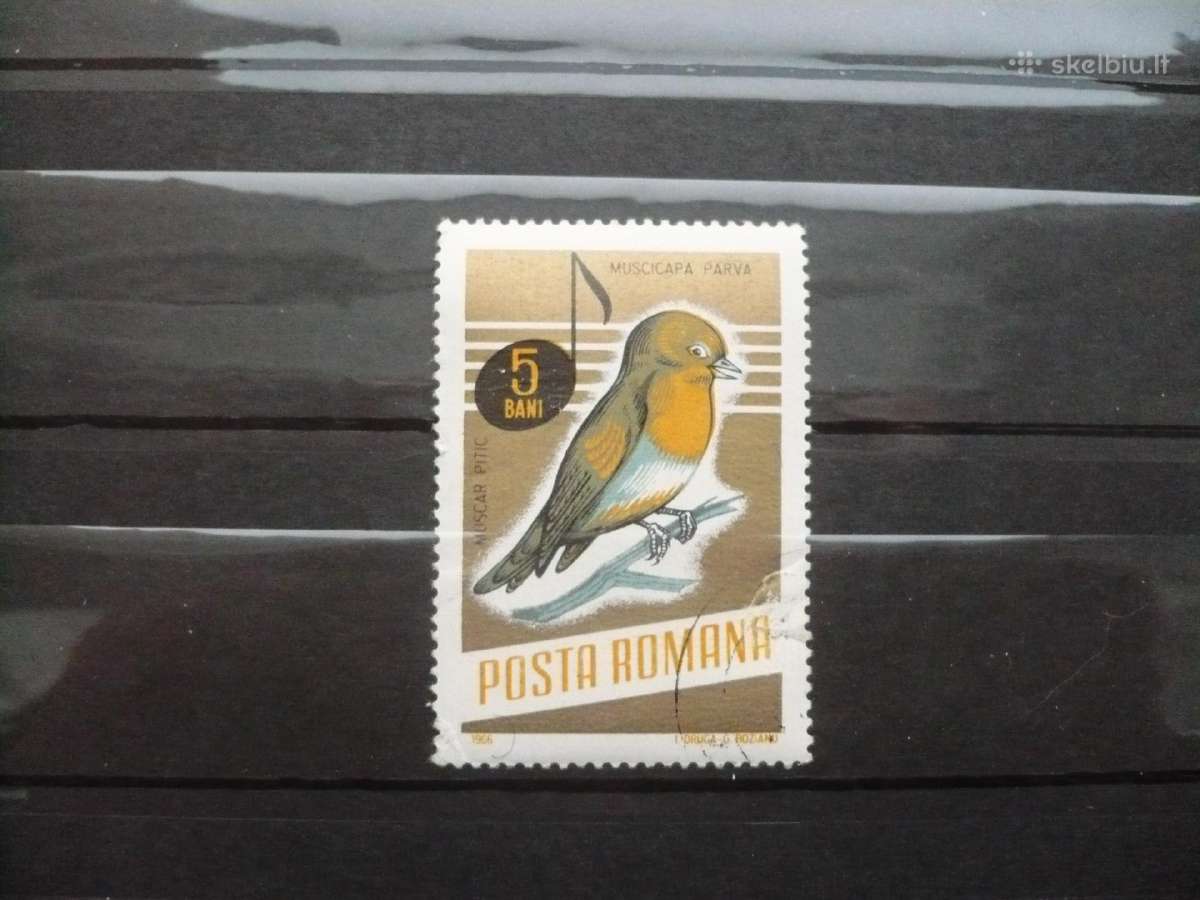 1966 m. paukščiai giesmininkai