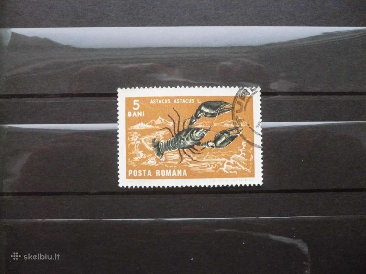 1966 Krabai ir sraigės