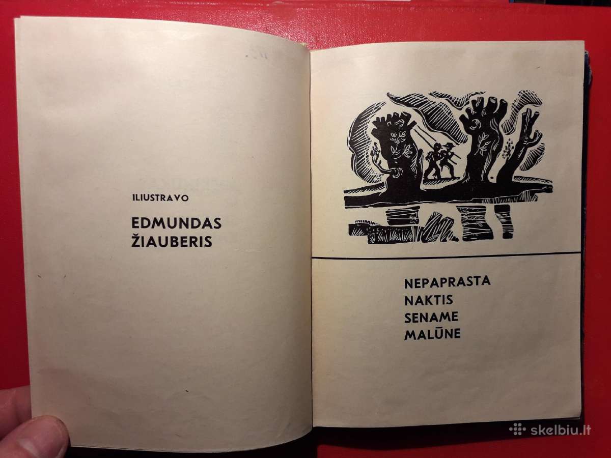 V. Dautartas "Miškinukas ir senelis kaukas" 1971m. - nuotraukos Nr. 3