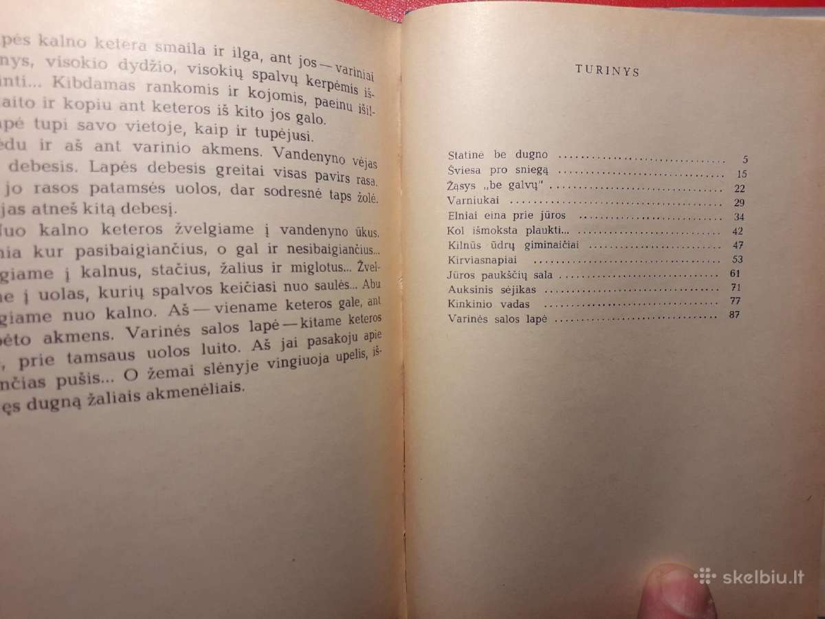 R. Budrys "Varinės salos lapė" 1971 m. - nuotraukos Nr. 6