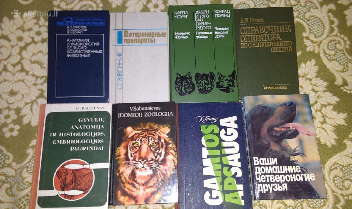 Teach Yourself "Training your brain" - nuotraukos Nr. 8