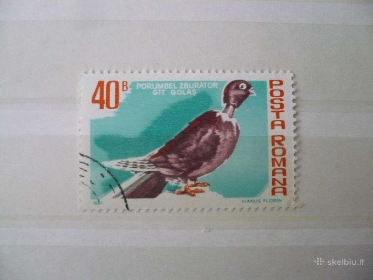 1981 Paukščiai – balandžiai