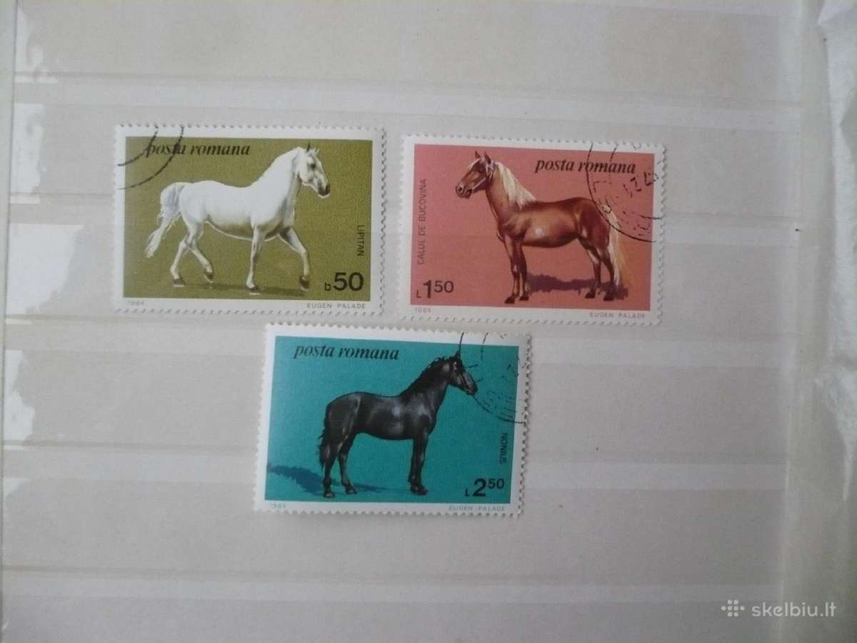 1984 Rumunijos arkliai