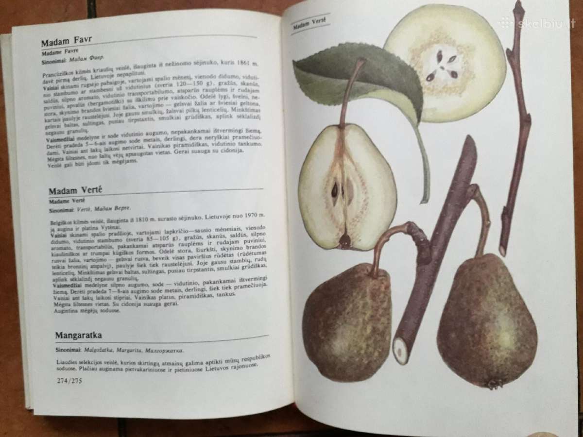 "Lietuvos pomologija" - nuotraukos Nr. 6