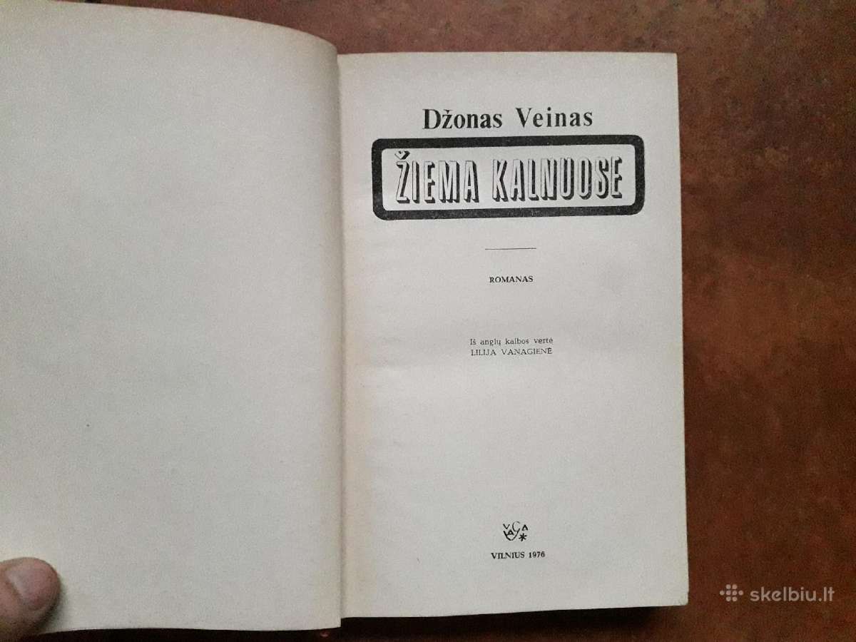 Džonas Veinas "Žiema kalnuose" 1976 m/ - nuotraukos Nr. 2