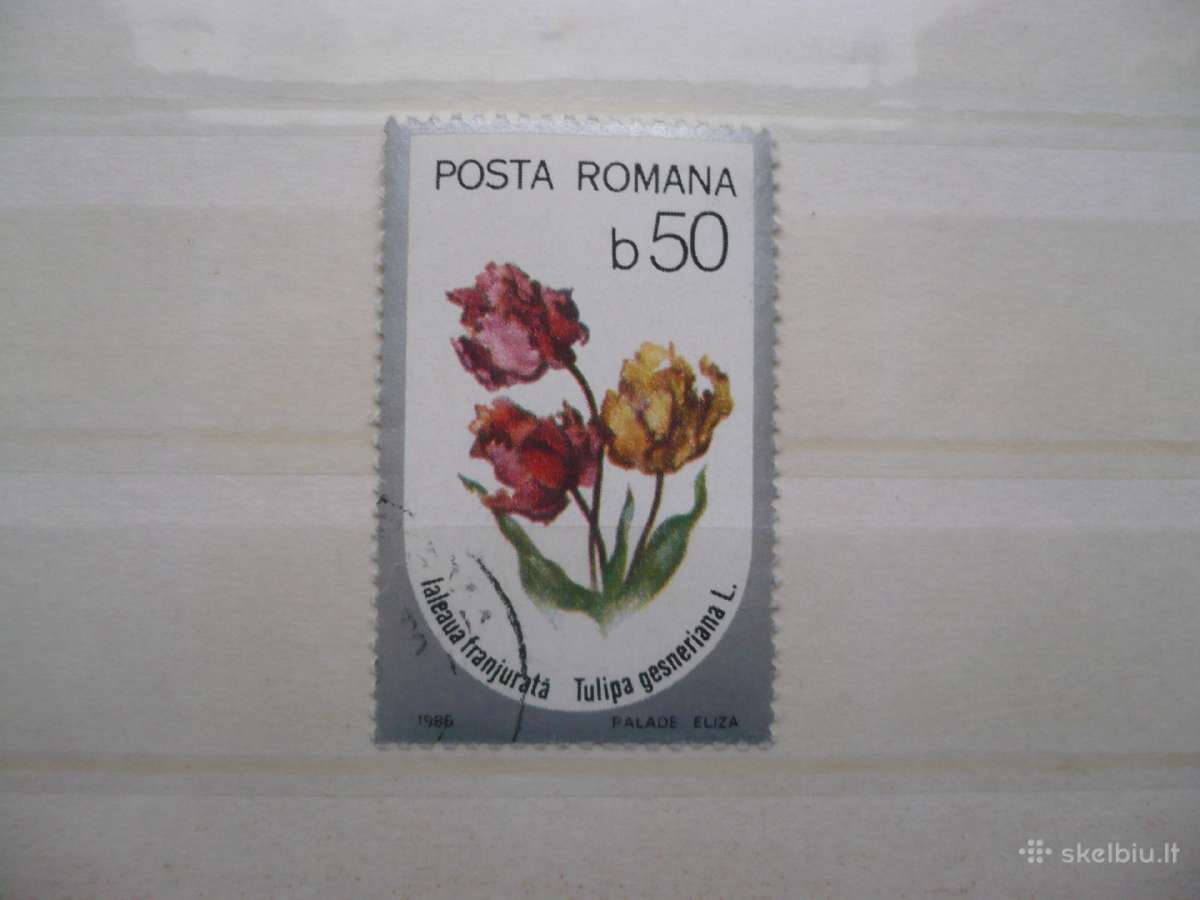 1986 Gėlės