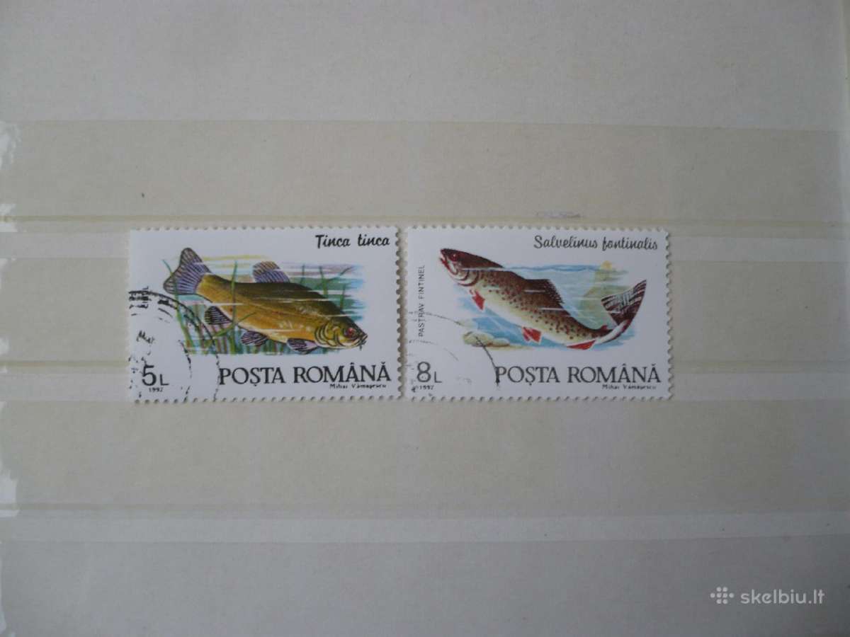 1992 Žuvys