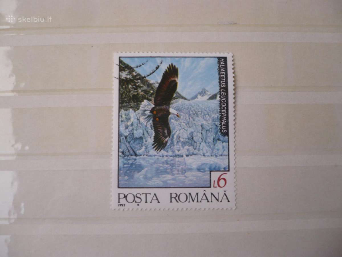 1992 Gyvūnai Šiaurės regione