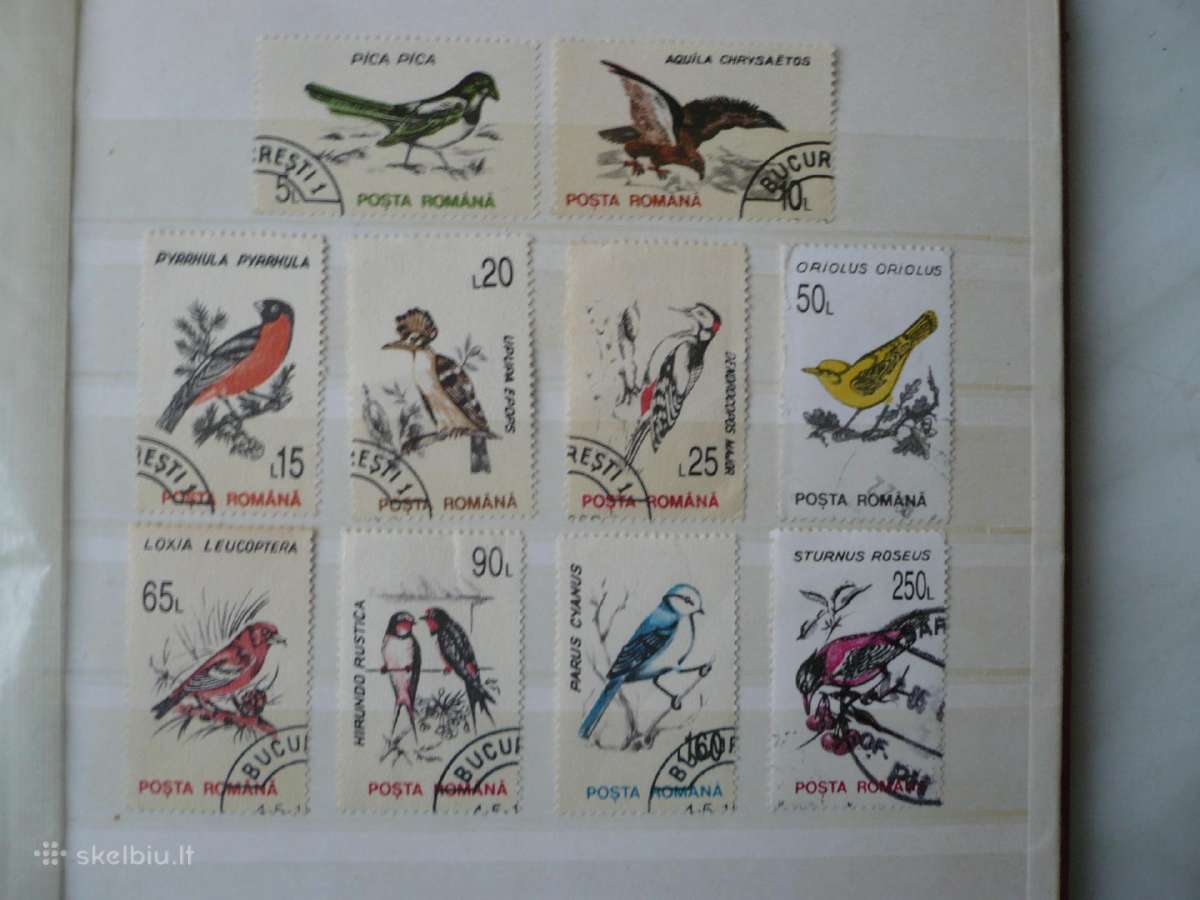 1993 Paukščiai