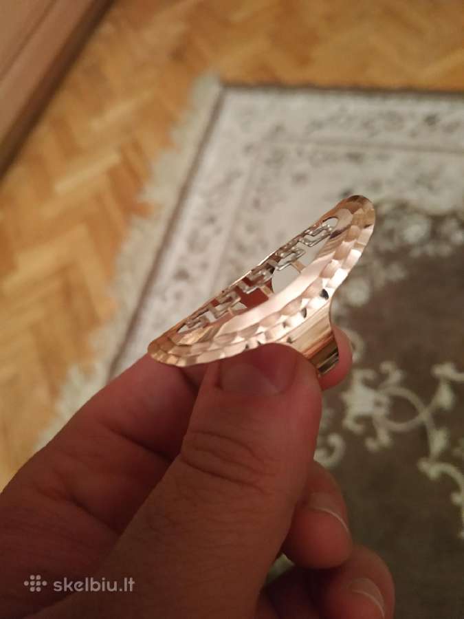 Auksinis Versace Stiliaus - nuotraukos Nr. 9