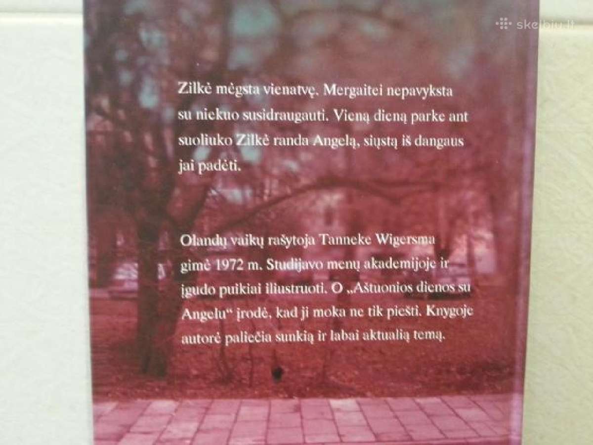 Aštuonios dienos su Angelu - nuotraukos Nr. 2