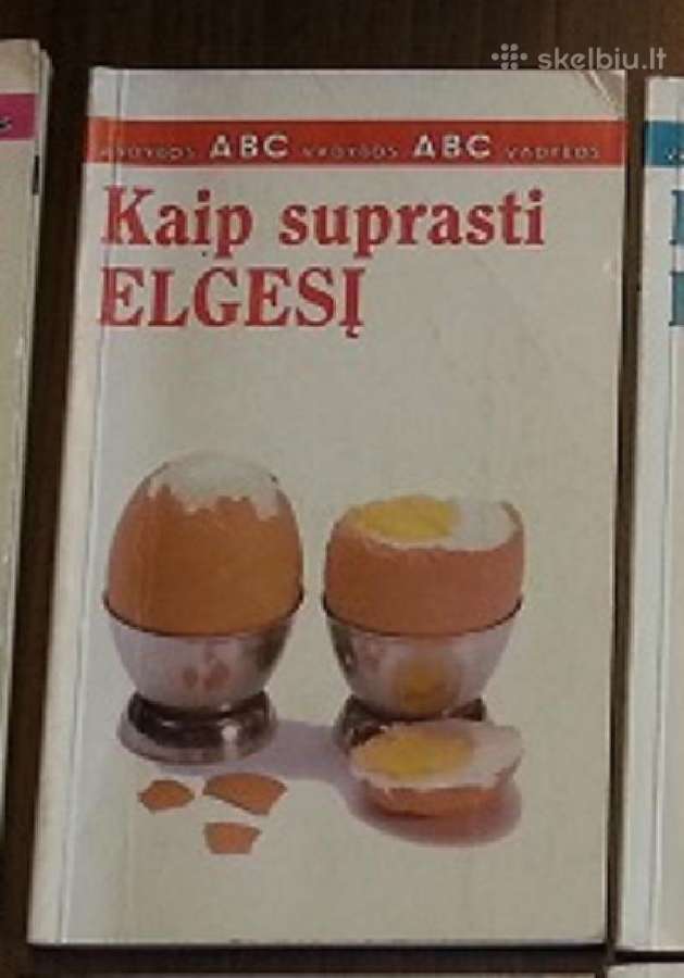 Vadybos Abc: kaip suprasti elgesį