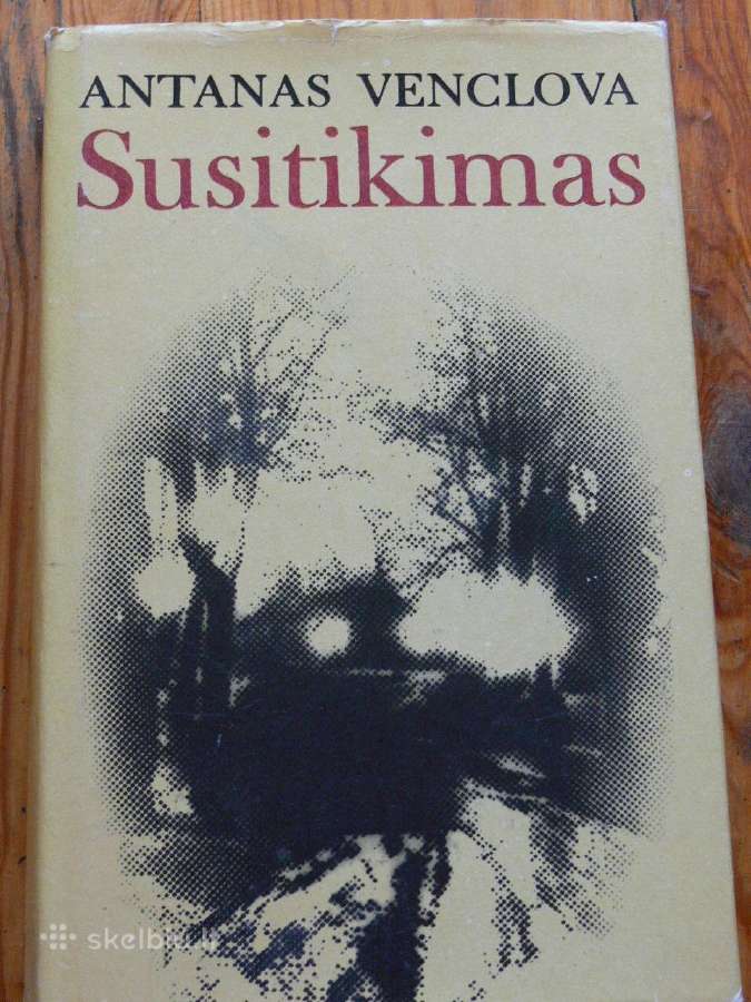 Antanas Venclova "Susitikimas"