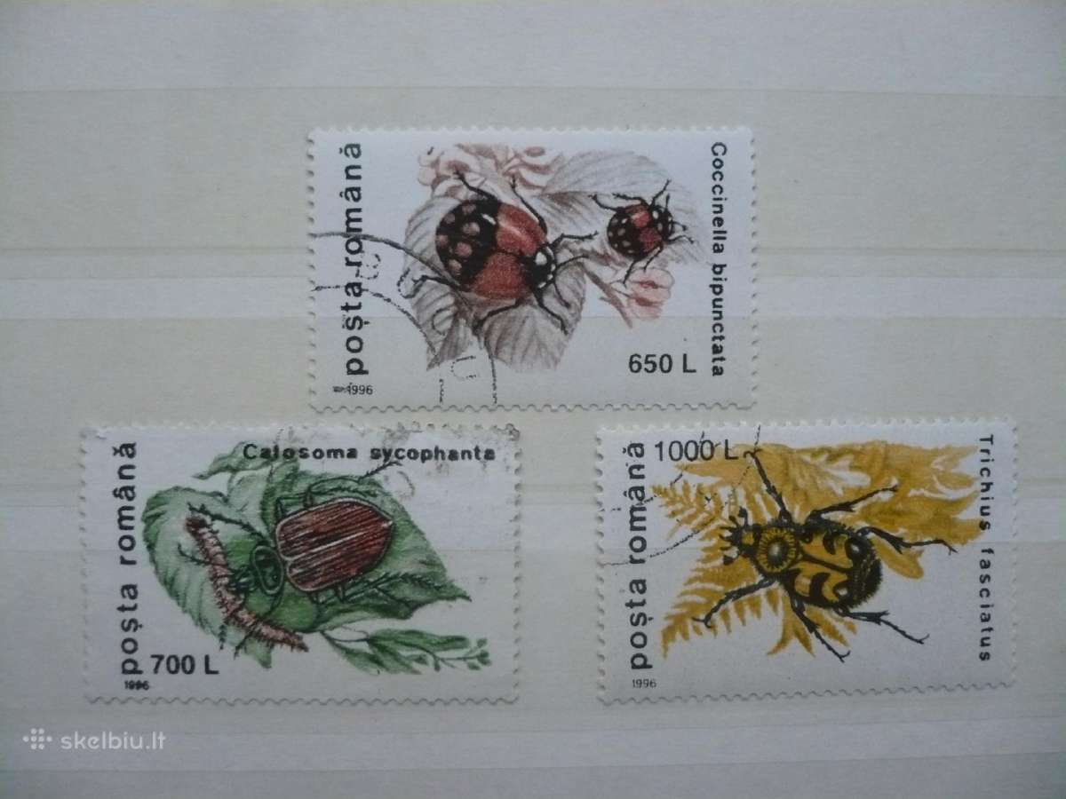 1996 Vabzdžiai – vabalai