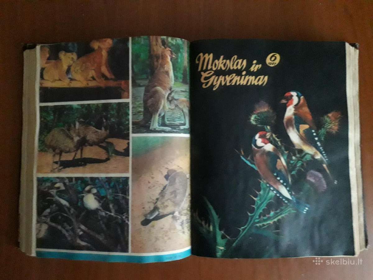 "Mokslas ir gyvenimas" 1967 metai - nuotraukos Nr. 7