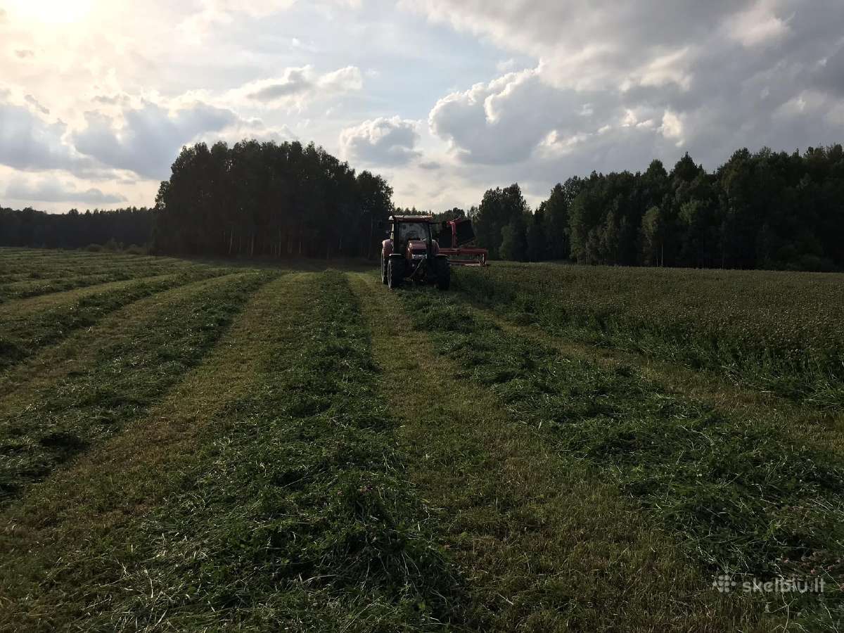 Parduodu šieną, šienainį - nuotraukos Nr. 19
