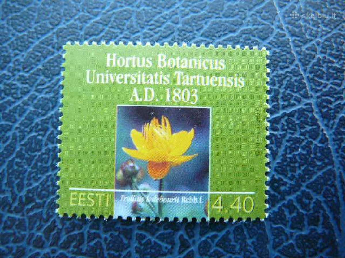 Geles Flora Daile Estija 2003 svarus es464s
