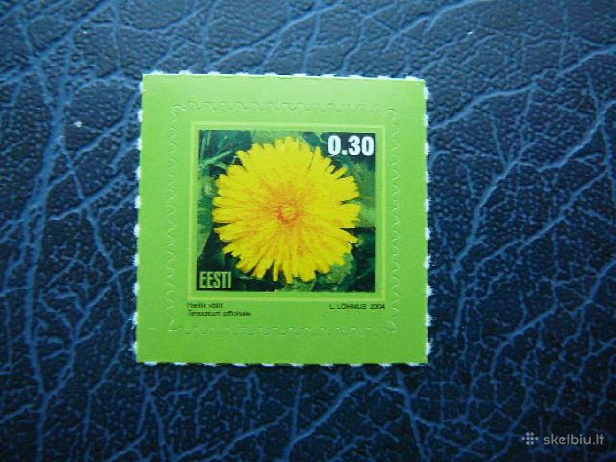 Geles Flora Estija 2004 svarus es495s