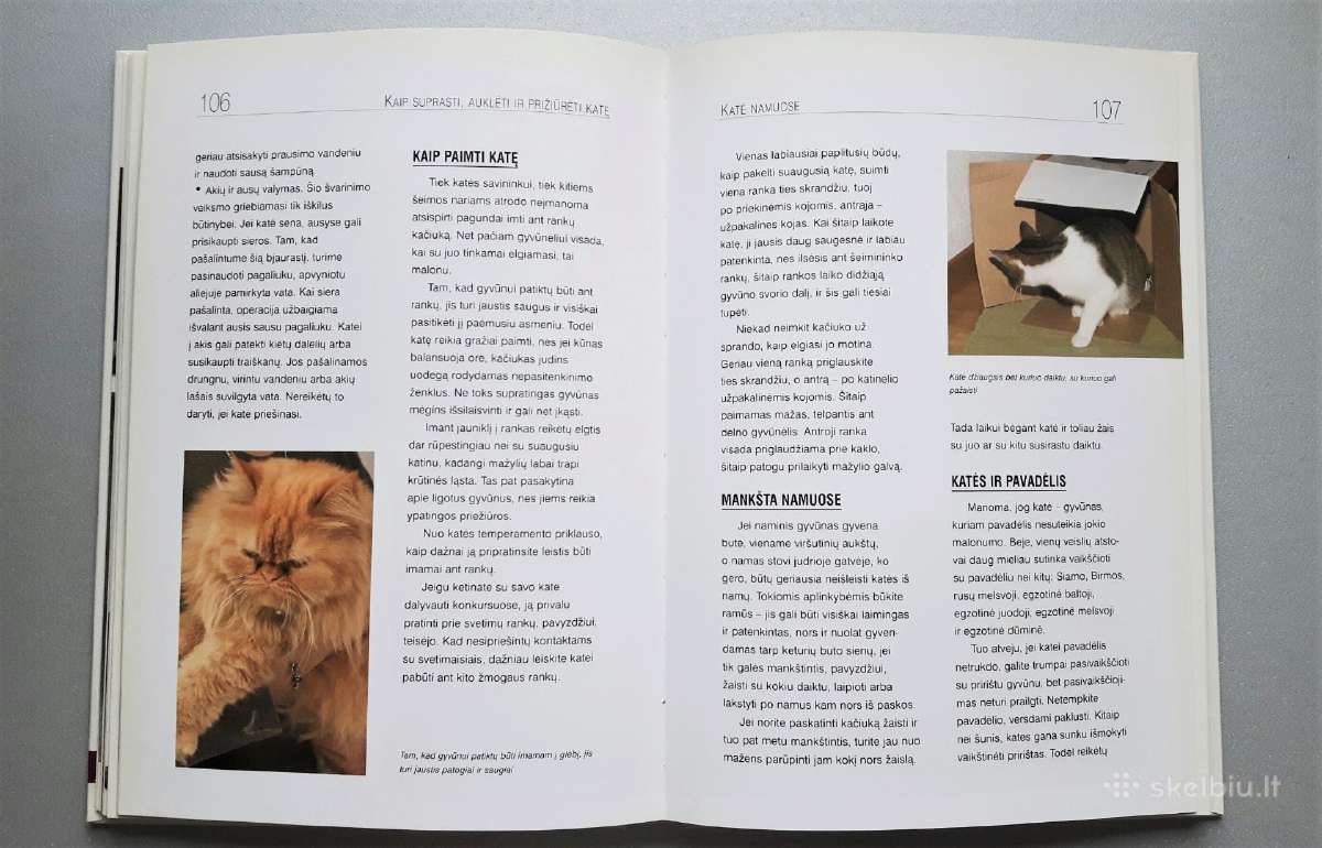 Knyga apie katės priežiūrą - nuotraukos Nr. 2
