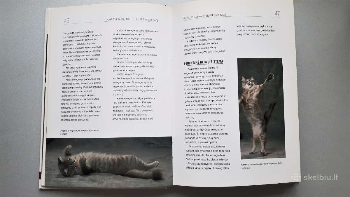 Knyga apie katės priežiūrą - nuotraukos Nr. 4