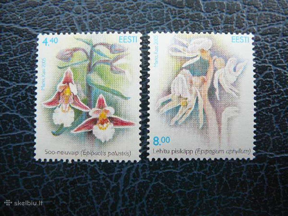 Geles Flora Estija 2005 svarus es520s