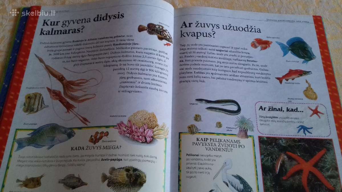Įdomioji enciklopedija apie viską - nuotraukos Nr. 5