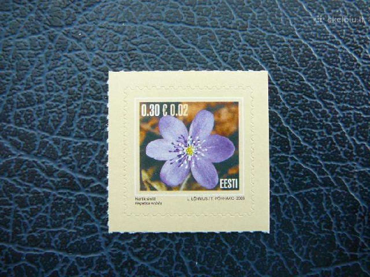 Geles Flora Estija 2006 svarus es558s