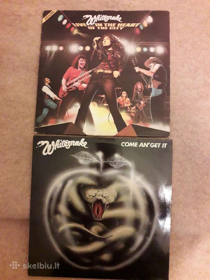 Whitesnake