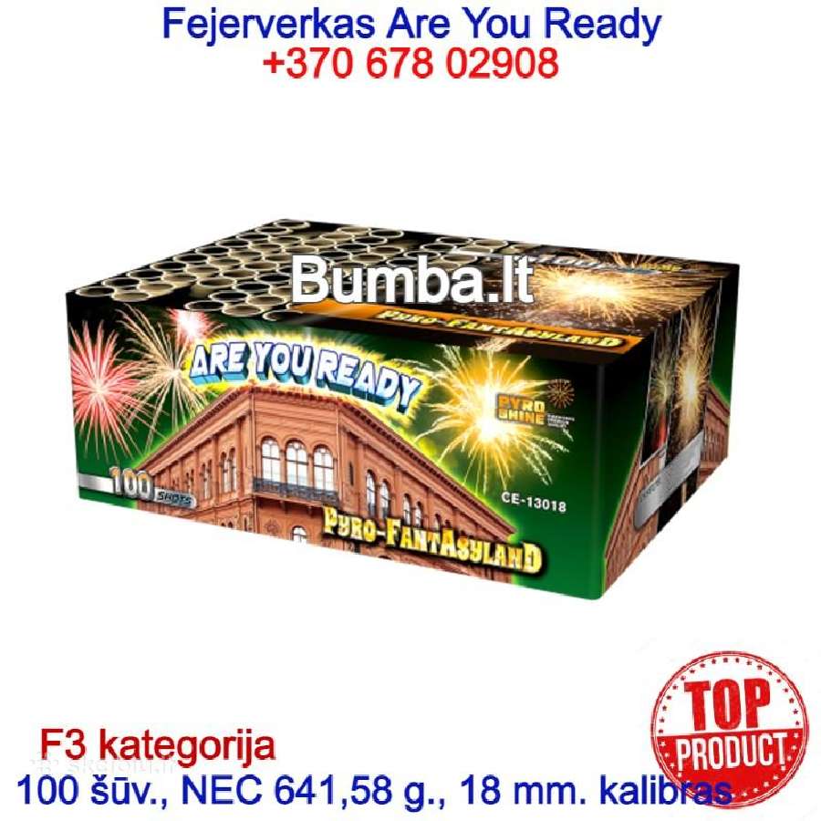 F3 kategorijos fejerverkai Kaune: +370 678 02908 - nuotraukos Nr. 33