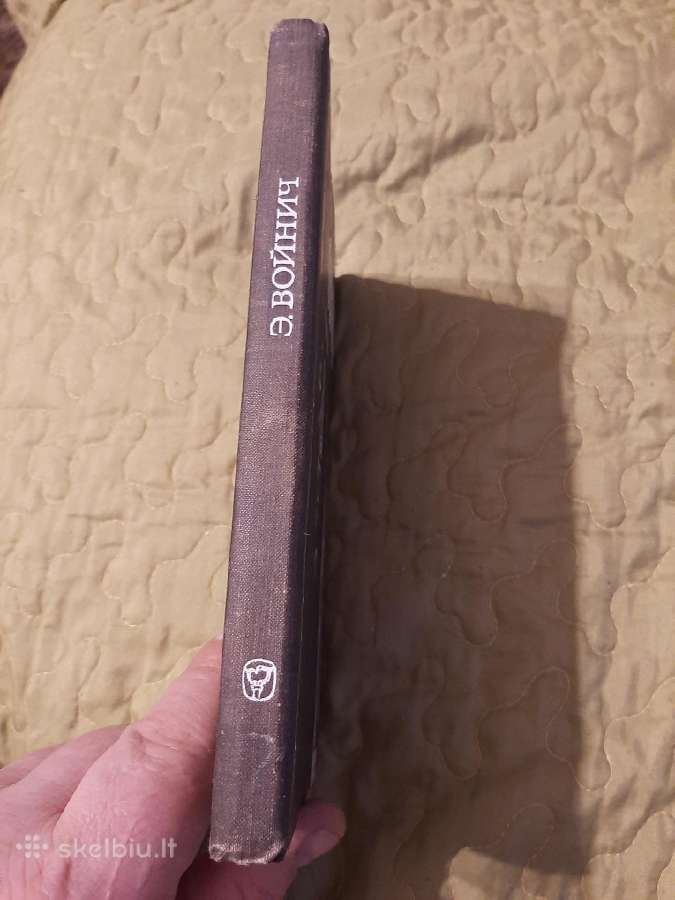 Gylys - nuotraukos Nr. 7