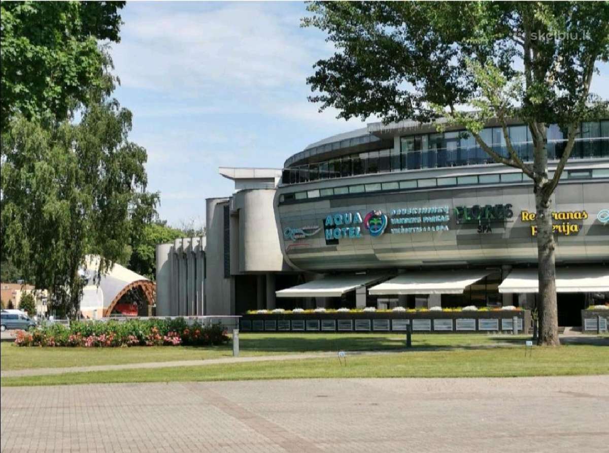 Druskininkų centre jaukus butas studija - nuotraukos Nr. 28