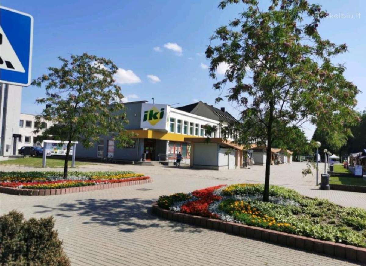 Druskininkų centre jaukus butas studija - nuotraukos Nr. 29