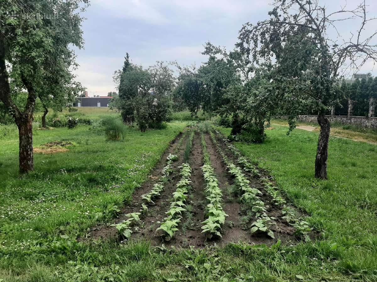 Sklypas Radviliškyje