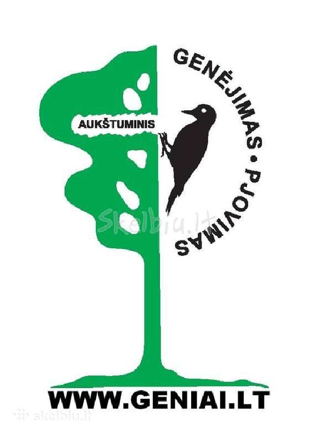 Medžių pjovimas, genėjimas
