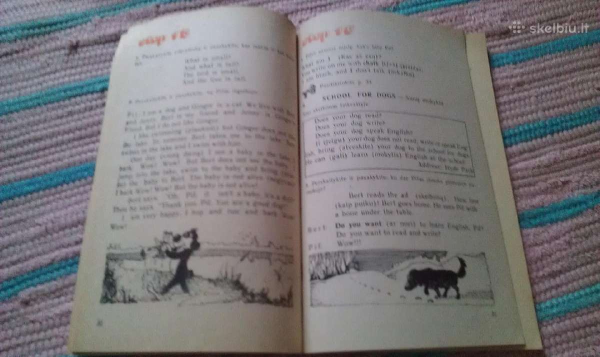 English Reader Form 4 Irena Kubilienė - nuotraukos Nr. 2