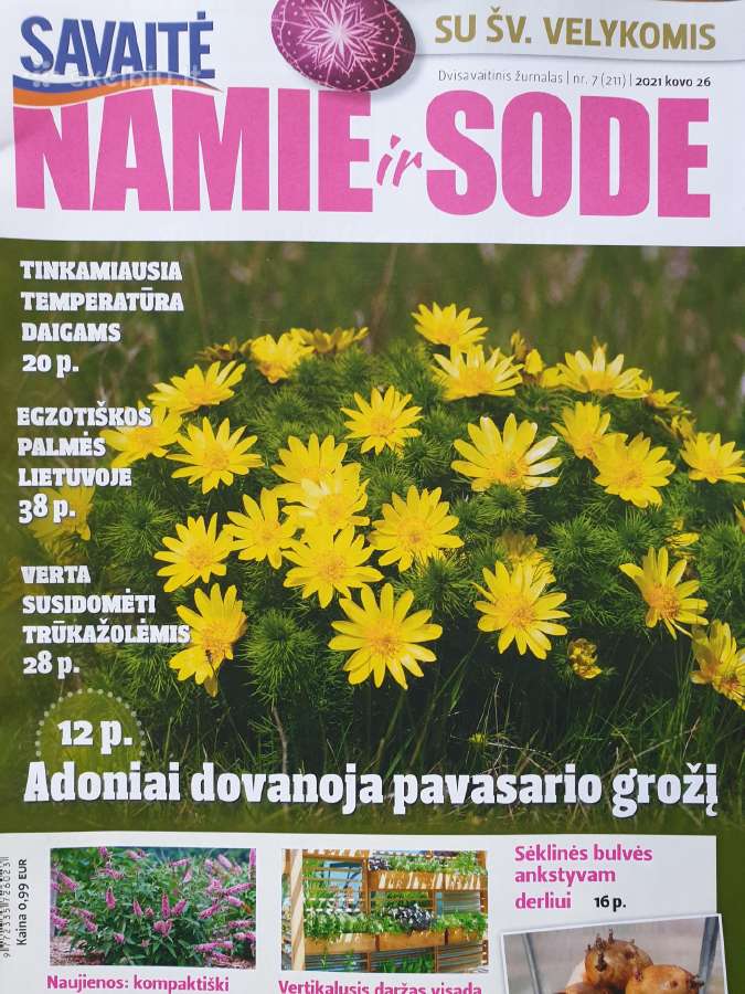 Žurnalai sodininkams ir ne tik - nuotraukos Nr. 15