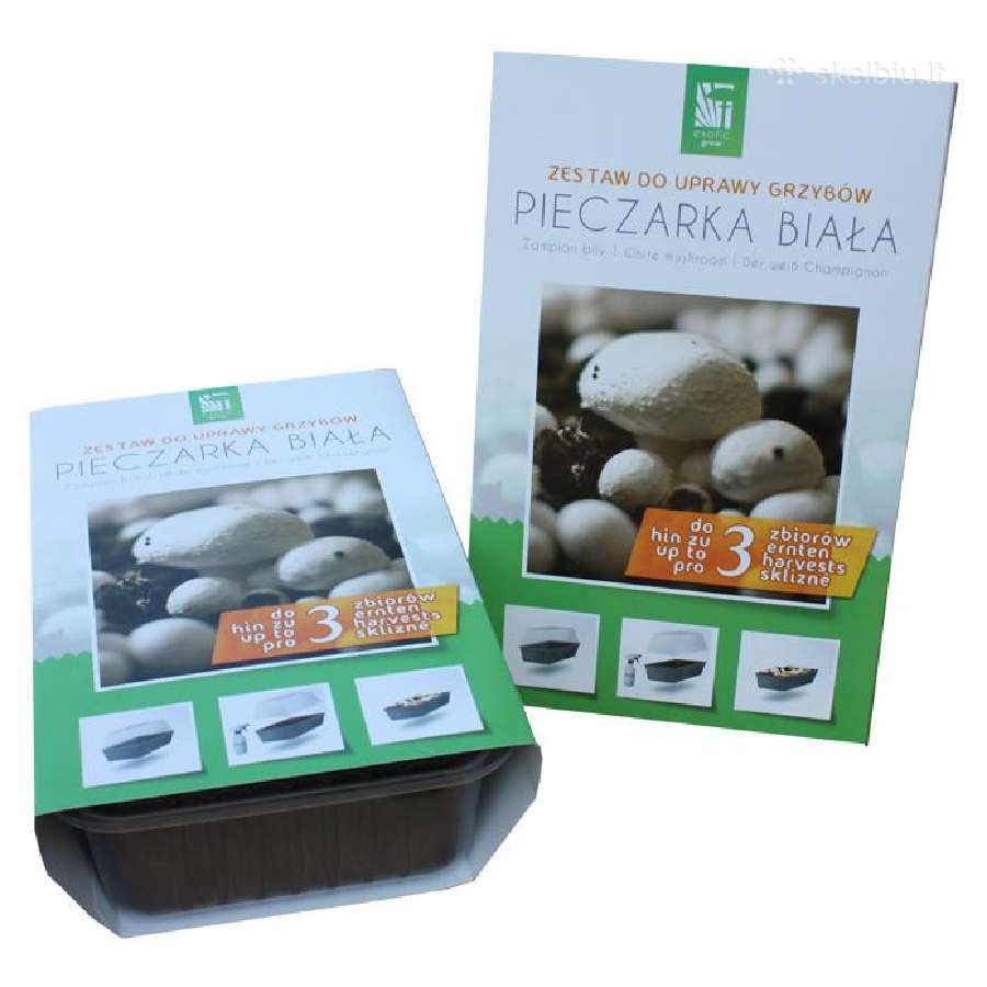 Baltieji pievagrybiai Paruošta pakuotė auginimui - nuotraukos Nr. 2
