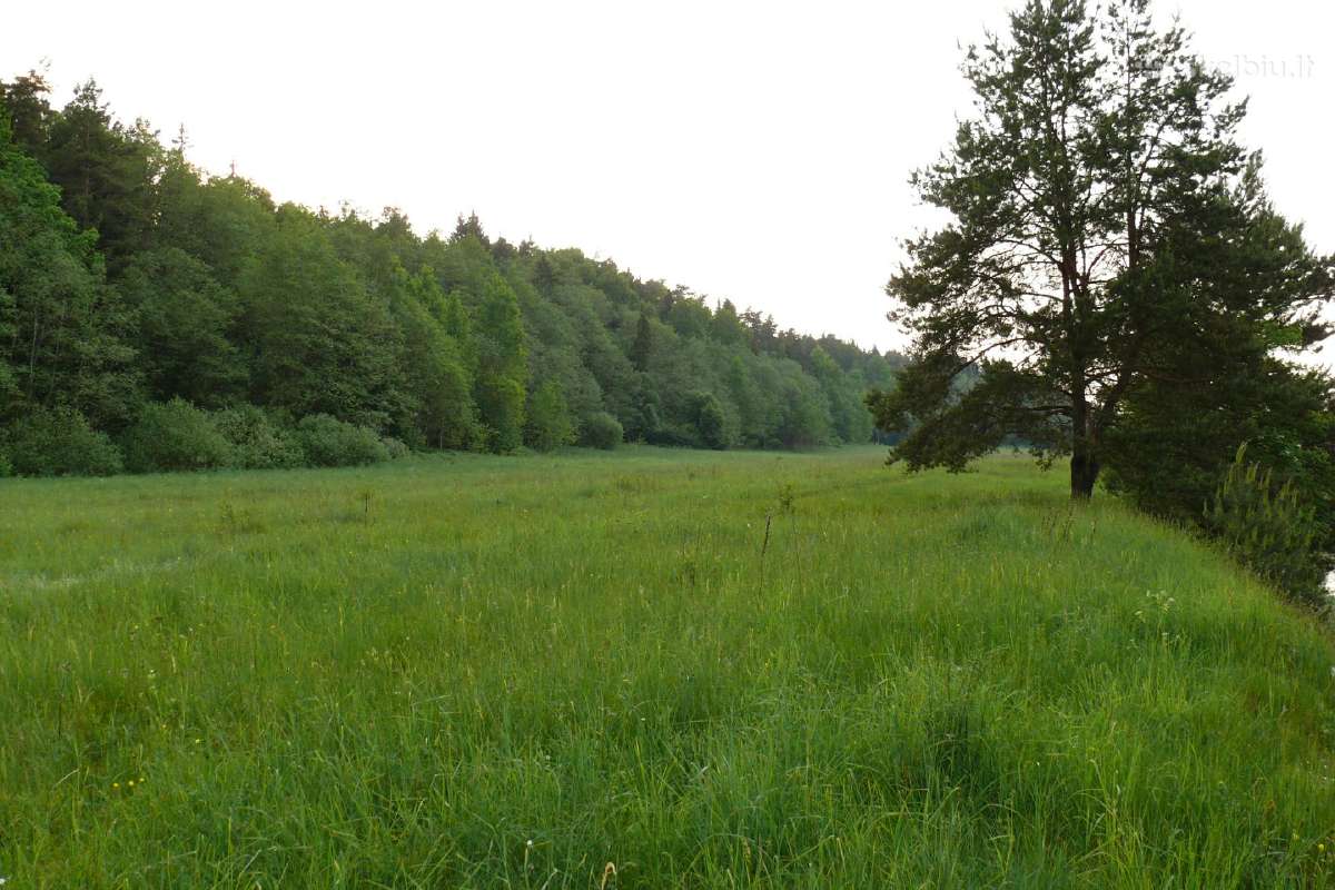 Sklypai Venecijoje prie upės. Liko 1 sklypas - nuotraukos Nr. 9