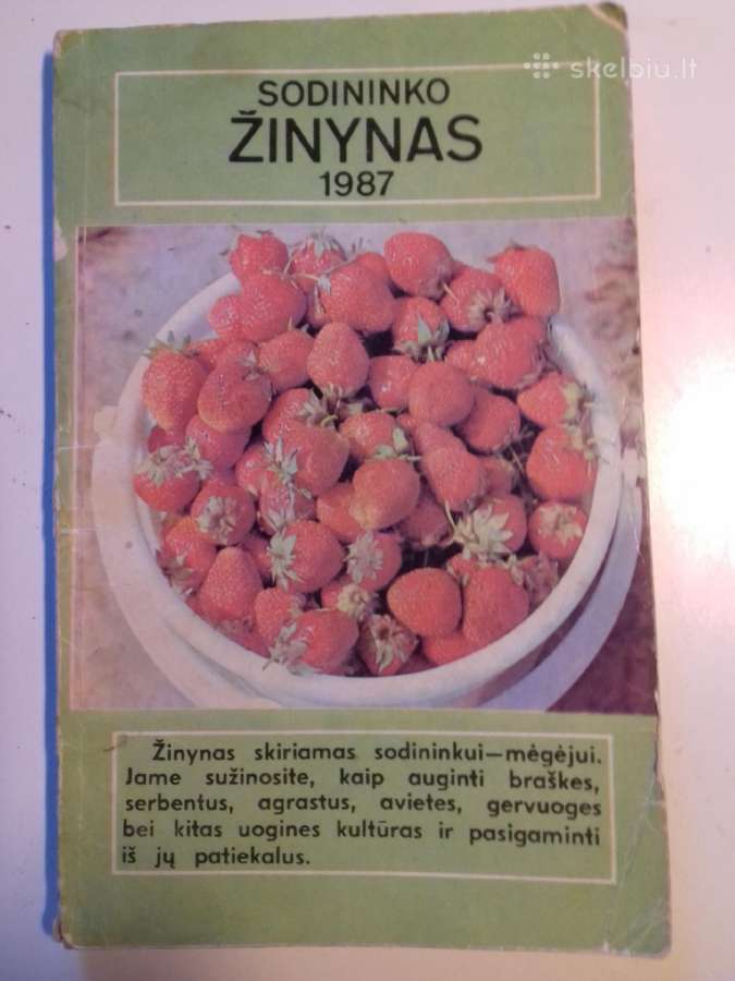 Knyga.