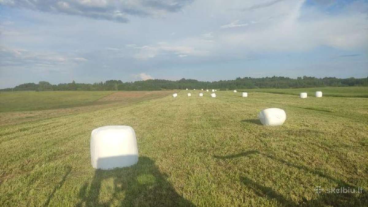 Ieškau pirkti ar nuomai žemės sklypų ūkiui - nuotraukos Nr. 4