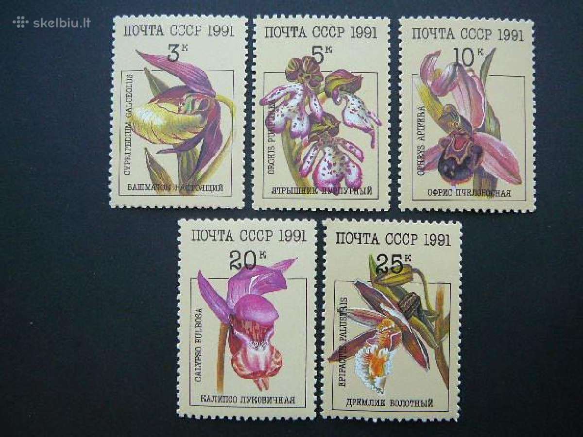 Ssr 1991 Orchidejos Geles Mnh s6192