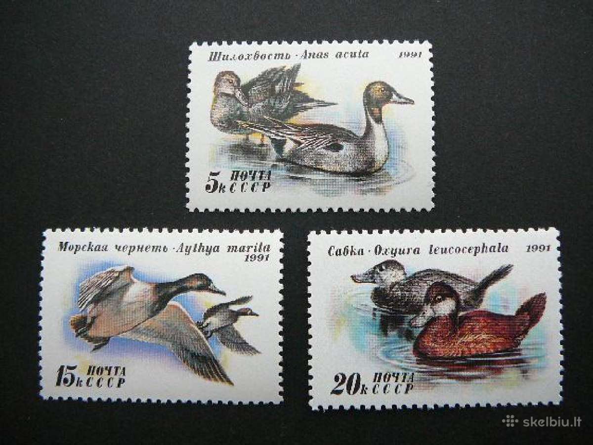 Ssr 1991 Antys Pauksciai Mnh s6210