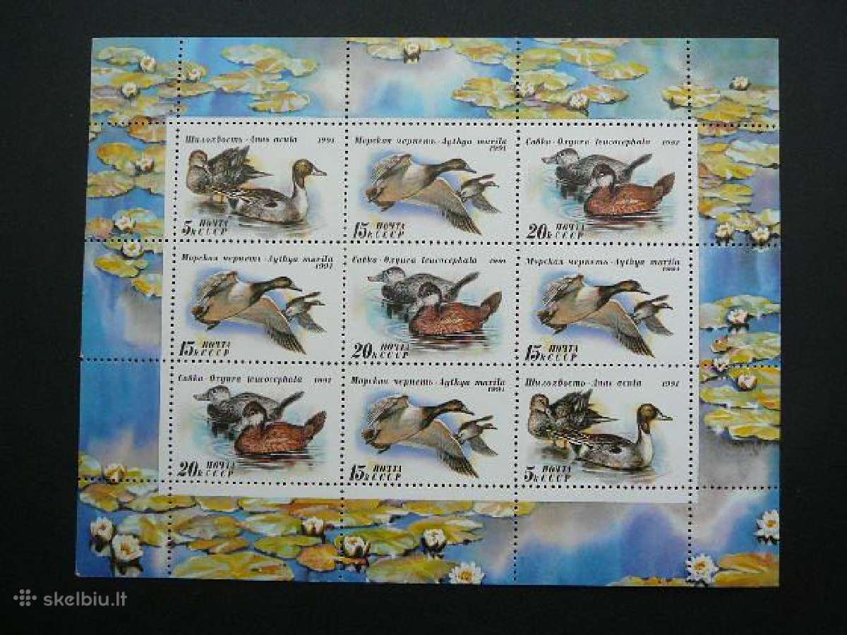 Ssr 1991 Antys Pauksciai Mnh s6210kl