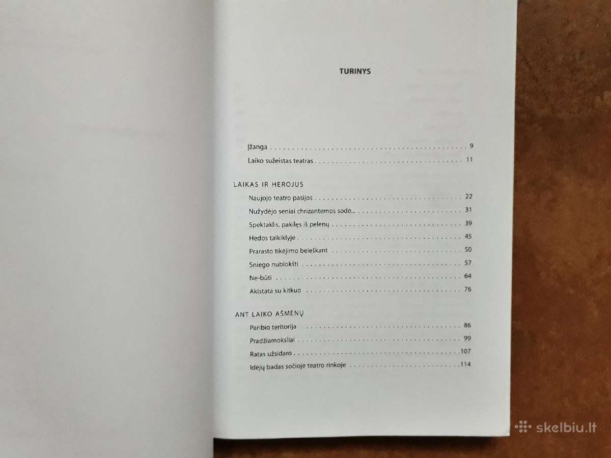 Audronis Liuga "Laiko sužeistas teatras" 2008 m. - nuotraukos Nr. 2