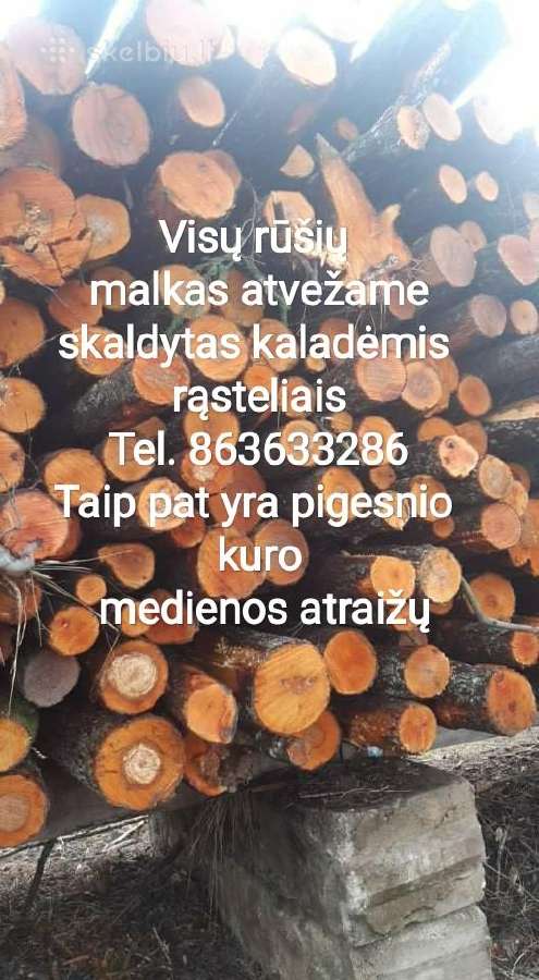 Geros kaitrios malkos Pakruojyje - nuotraukos Nr. 2