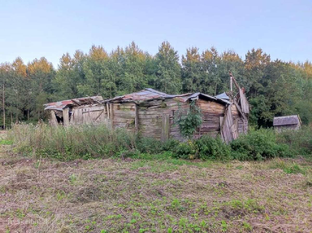 Kokybiški Griovimo Darbai Ir Aplinkos Priežiūra - nuotraukos Nr. 8